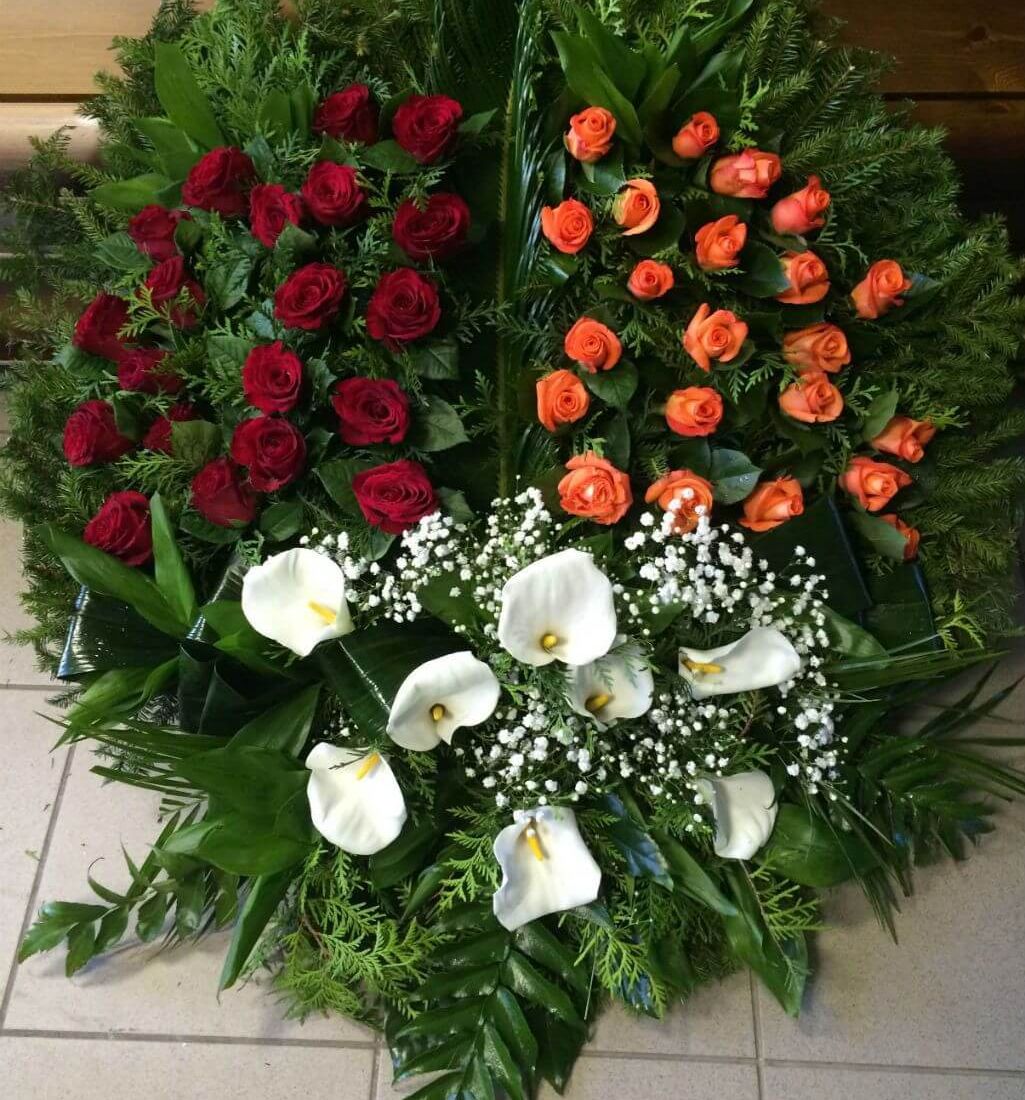 Sēru floristika