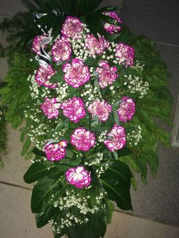Sēru floristika