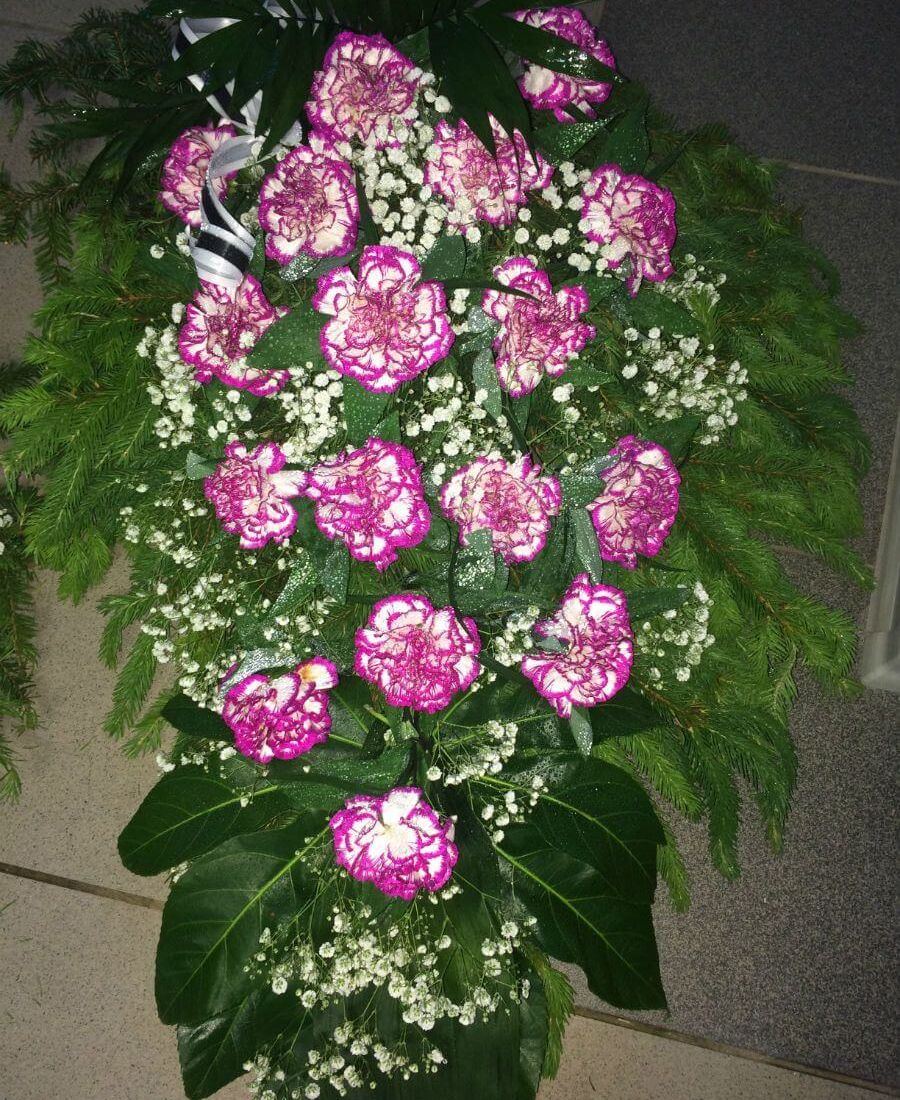 Sēru floristika