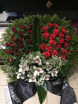 Sēru floristika