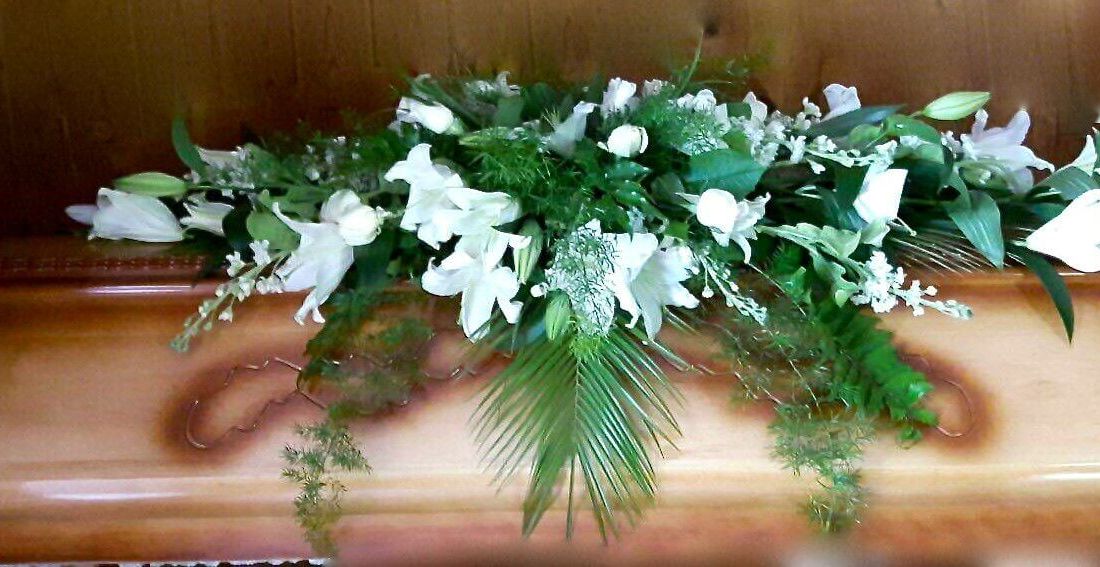 Sēru floristika